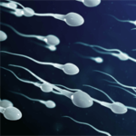 Улучшение качества спермы и увеличение ее объема
